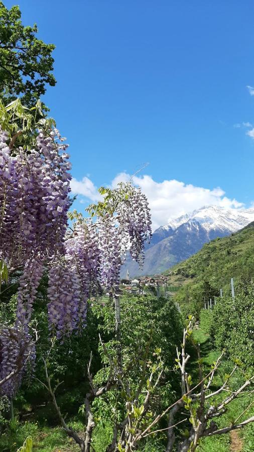 Apartamento Lanja Ihr Besonderes Urlaubszuhause Lagundo Exterior foto